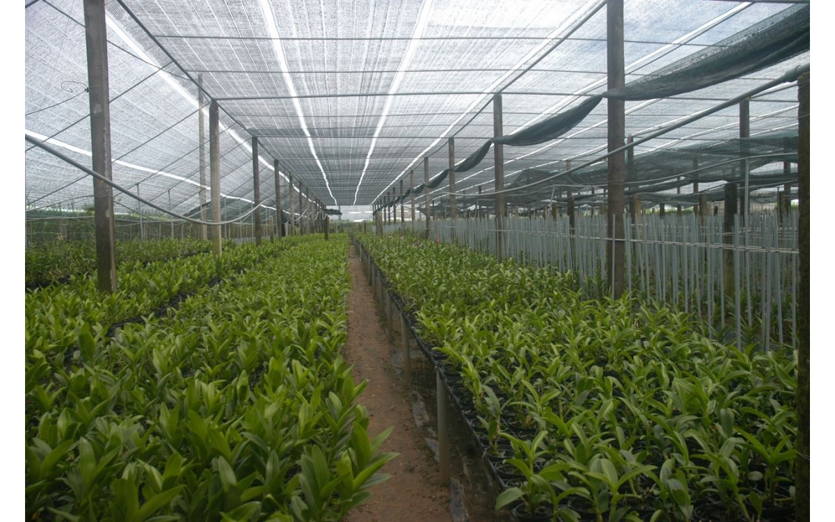 nhà lưới nhà lưới