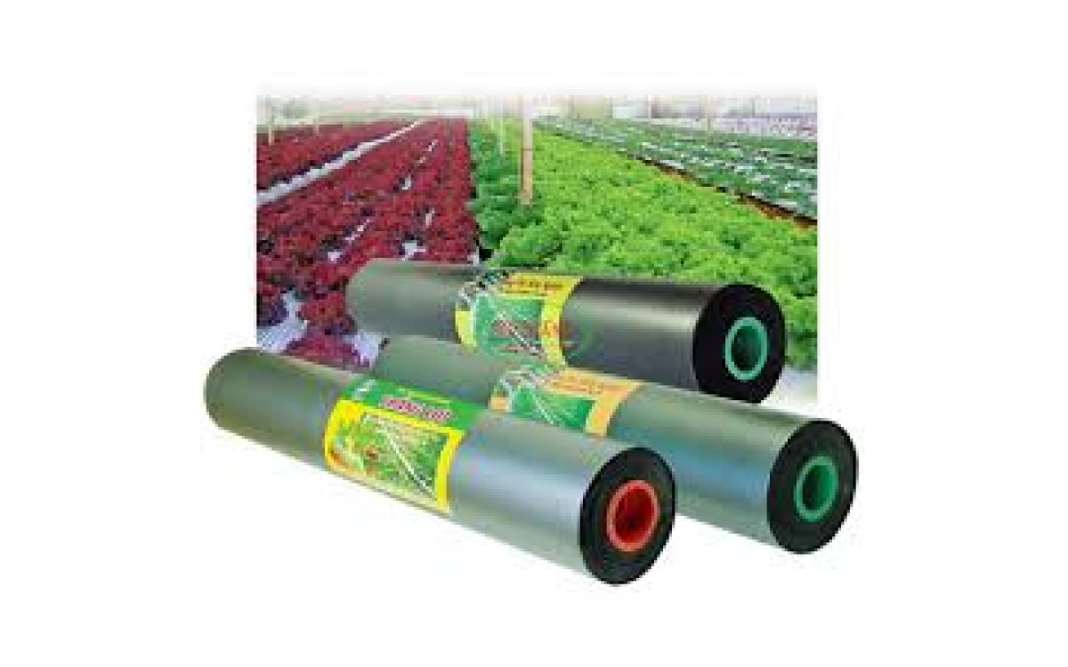 màng phủ nông nghiệp và kỹ thuật sử dụng màng phủ nông nghiệp và kỹ thuật sử dụng