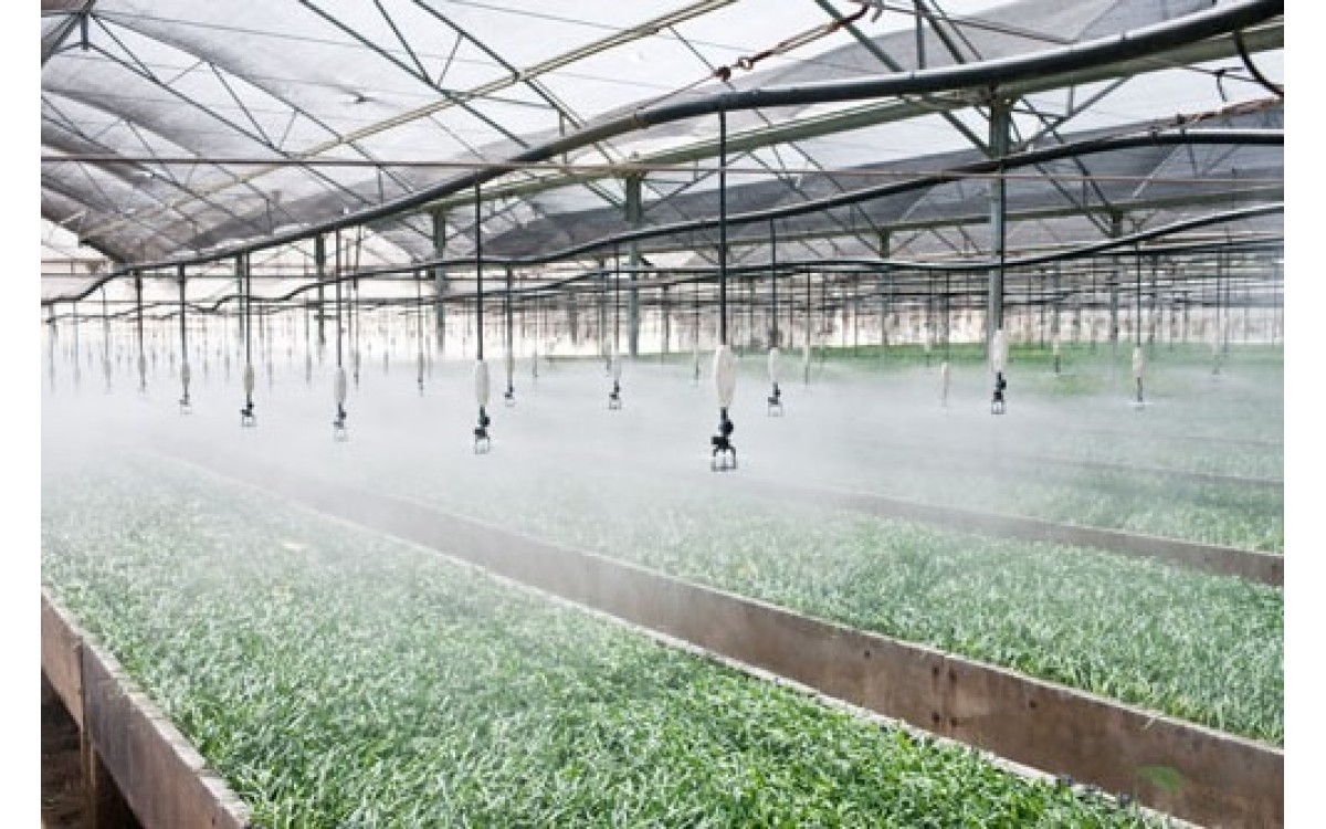 hệ thống phun sương cho vườn cây gia đình hệ thống phun sương cho vườn cây gia đình