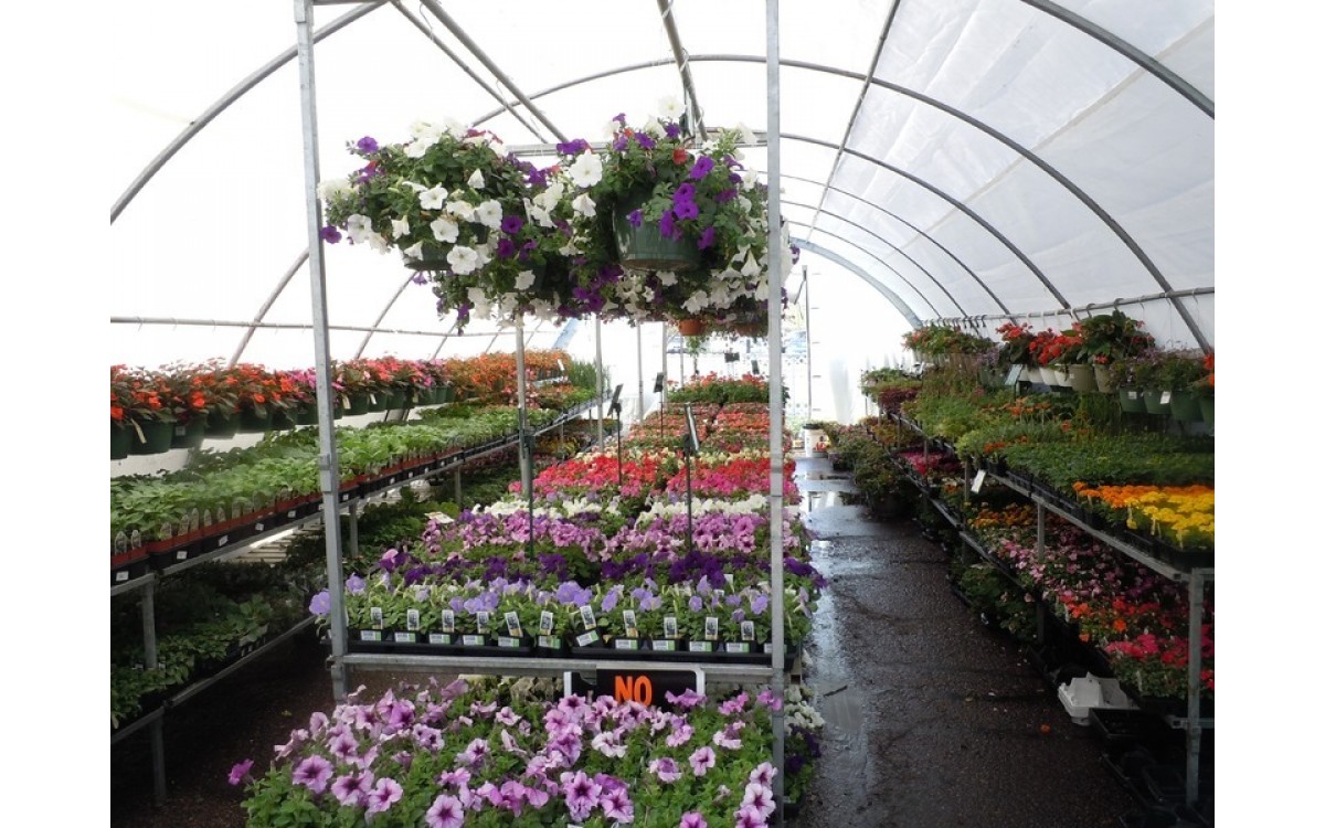 Một số thương hiệu màng nhà kính tại Việt Nam Một số thương hiệu màng nhà kính tại Việt Nam