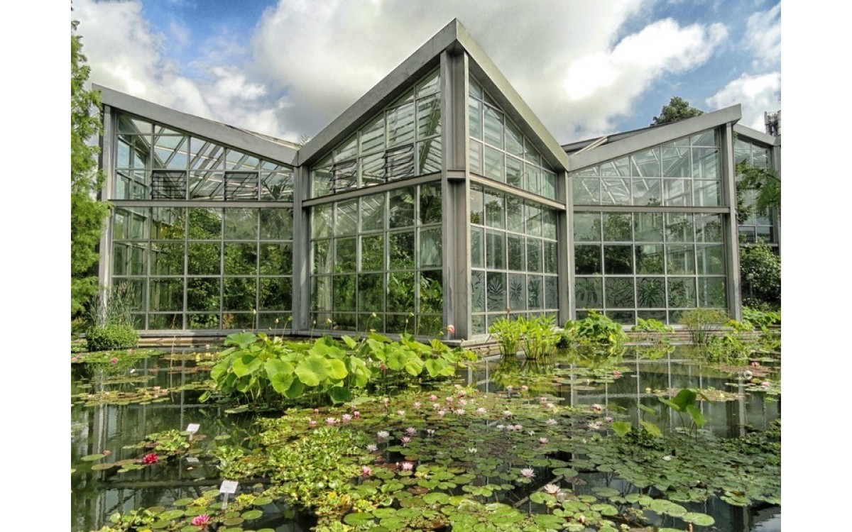 Nhà kính là gì Nhà kính là gì