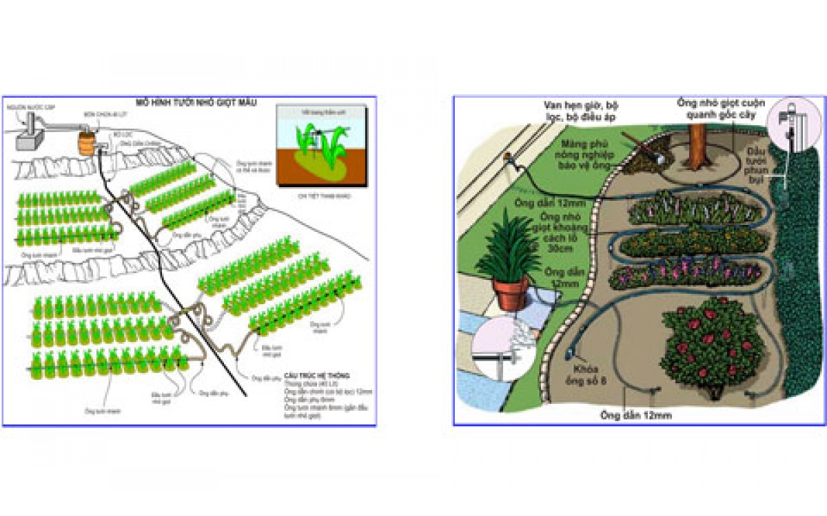 Mô hình hệ thống tưới tự động tiêu chuẩn Mô hình hệ thống tưới tự động tiêu chuẩn