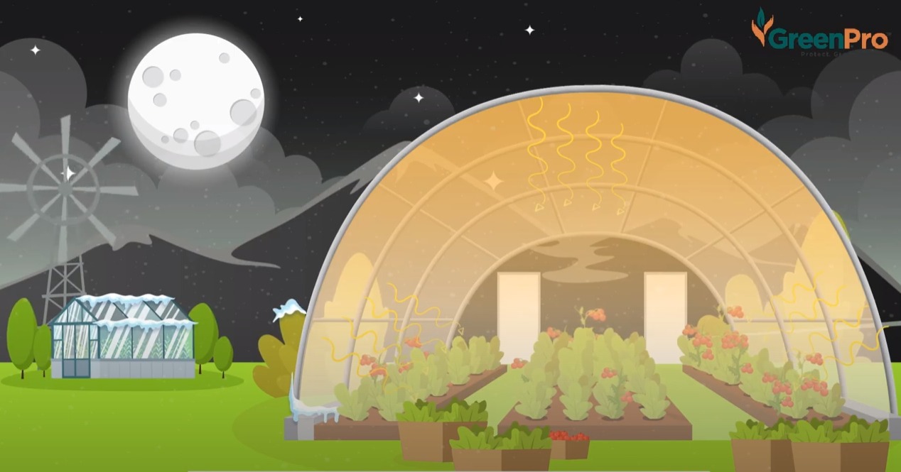 Giúp giữ nhiệt và độ ẩm bên trong nhà kính.