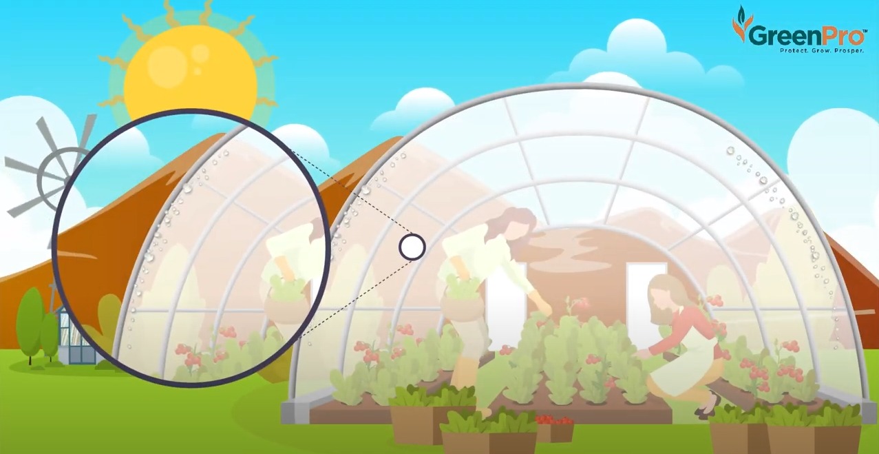 Chống hiện tượng nhỏ giọt và đọng sương bên trong bề mặt màng