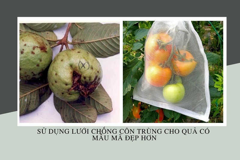 luoi chong con trung%20(1)%201