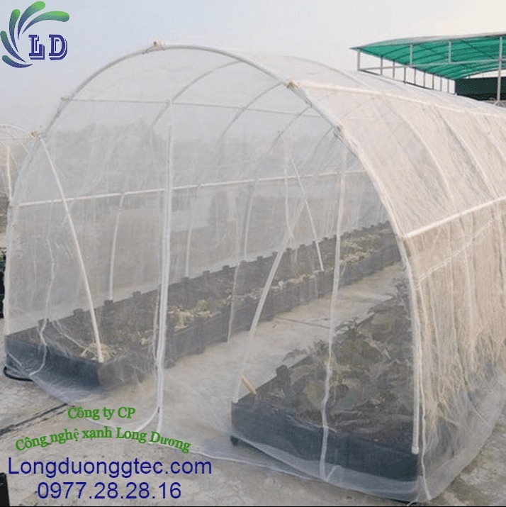 Sử dụng lưới chắn côn trùng để ngăn ngừa sâu bướm