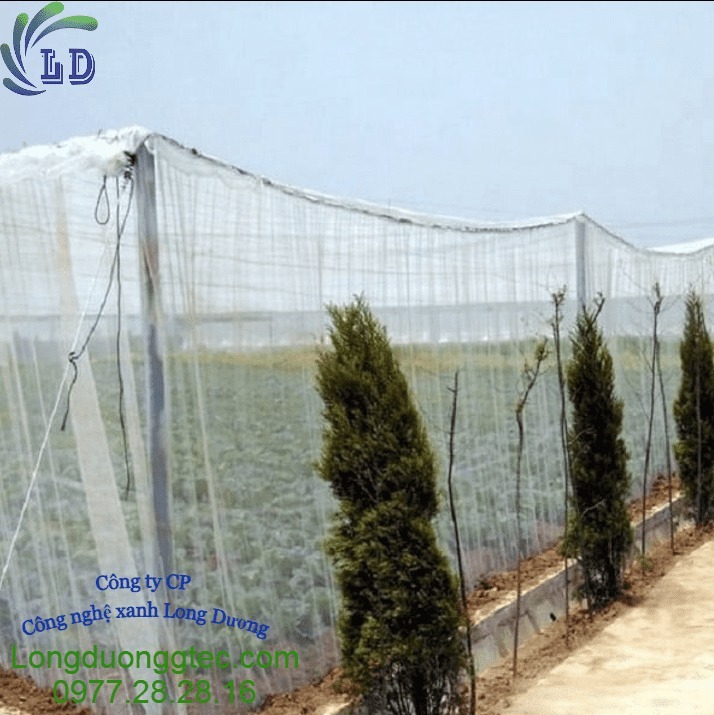 luoi chong con trung%20(3)%201