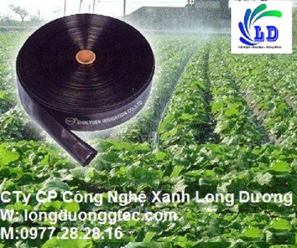 day-tuoi-phun-mua.html