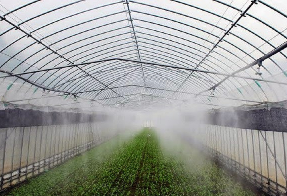 yêu cầu về độ ẩm