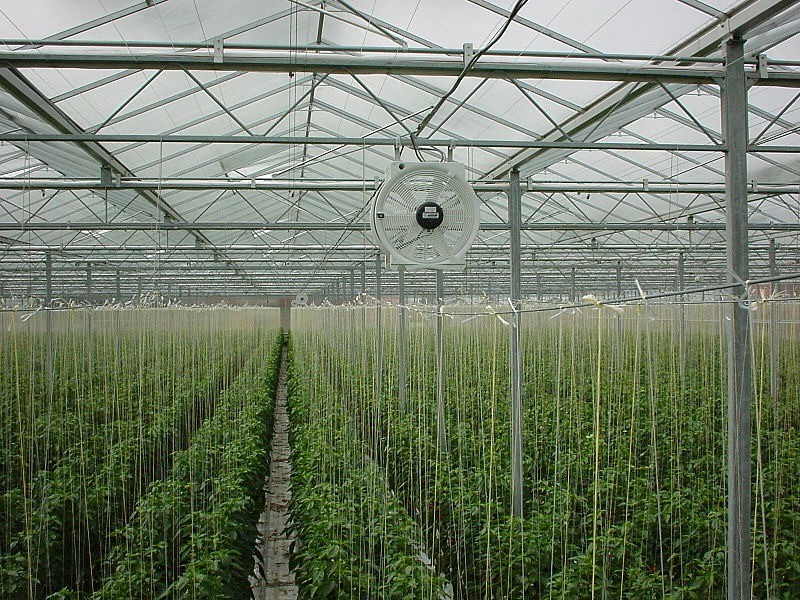 hệ thống thông gió cho nhà màng